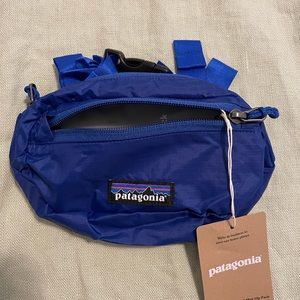 FLASH SALE❗️NWT Patagonia Ultralight Mini Hip Pack
